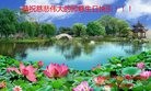 ֹ,ϴ󷨵ӹ編ִʦ𻪵(29)