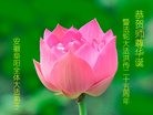 ֹ,մ󷨵ӹ編ִʦ𻪵(22)