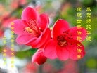 ֹ,մ󷨵ӹ編ִʦ𻪵(22)