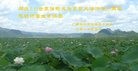 ֹ,󷨵ӹ編ִʦ𻪵(29)