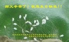 ֹ,մ󷨵ӹ編ִʦ𻪵(22)