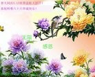 ֹ,ʴ󷨵ӹ編ִʦ𻪵(29)