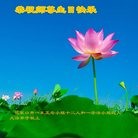 ֹ,żҿڴ󷨵ӹ編ִʦ𻪵(25)