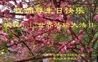 ֹ,󷨵ӹ編ִʦ𻪵(26)