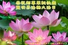 ֹ,«󷨵ӹ編ִʦ𻪵(22)