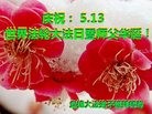 ֹ,̽󷨵ӹ編ִʦ𻪵(24)