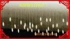 ֹ,㶫󷨵ӹ編ִʦ𻪵(28)