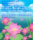 法轮功,广东大法弟子恭贺世界法轮大法日暨师尊华诞(23条)