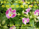 ֹ,㶫󷨵ӹ編ִʦ𻪵(23)