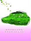 ֹ,󷨵ӹش󷨺鴫ʮʦ𻪵(26)

