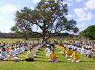 Published on 10/12/2001 105ղ˹-ũ԰ (Brisbane New Farm Park) 