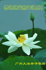 大陆大法弟子恭祝师尊农历新年好（三）