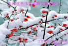 ½󷨵ӹףʦũã