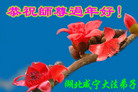 ½󷨵ӹףʦũã