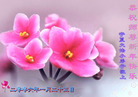 大陆大法弟子恭祝师尊农历新年好（三）