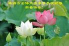½󷨵ӹףʦũã