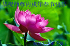 ½󷨵ӹףʦũã