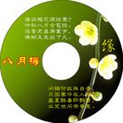 光盘封面五款