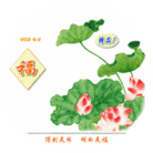 CD封面设计九款  2003-7-11