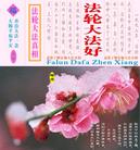 真相磁带盒封面设计