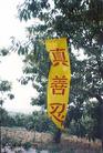 山东省沂蒙法轮功学员在沂蒙山区的真相标语和条幅