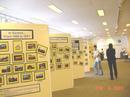 休斯顿大学明湖分校举办的法轮大法图片展