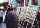悉尼洪法回顾展