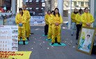 荷兰法轮功学员和当地华人社区共迎中国新年　2006-1-29