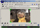 将rm/wmv/asf/swf等录像转为VCD的屏幕捕捉方法
