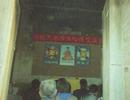 Published on 5/14/2001 ½ԣʦУ׳編ִ

