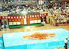 취ִĵý 1998