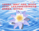 GIFƣ½ֹѧԱȺ