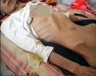 Published on 8/13/2004 ɹŮϼݲ䣨ͼ
