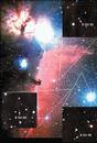 距地球大约1148光年的猎户星座内发现了18颗“无家可归”的行星状星体，但这些星体没有被束缚在任何恒星周围