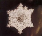 Published on 11/1/2004 听了贝多芬“田园”交响曲的水结晶照片