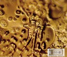 Published on 11/2/2004 让水读了“真恶心讨厌，我要杀了你”所拍的照片