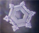 Published on 11/2/2004 贴有“爱、感谢”字条接受了电磁波的蒸馏水的结晶照片