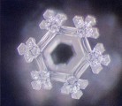 Published on 11/2/2004 水读了英文“智慧”的结晶照片