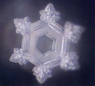 Published on 11/2/2004 水读了德文“智慧”的结晶照片
