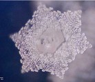 Published on 11/2/2004 水读了日文“爱、感谢”的结晶照片