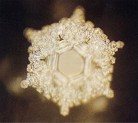 Published on 11/2/2004 水读了英文“爱、感谢”的结晶照片