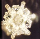 Published on 11/2/2004 “三分泉”的水结晶  泉水在某一处分为三路，故名“三分泉”。这个结晶的每个角也有三个分支