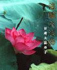 Published on 5/11/2002 Դ½ĺؿ編ִߴ󷨺鴫ʮ
