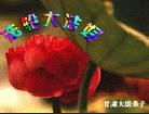 Published on 5/11/2002 Դ½ĺؿ編ִߴ󷨺鴫ʮ
