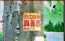 Published on 5/22/2002 ͼģӱ󷨵ף編ִաһҹ֮洦ɼ
