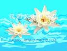 Published on 5/9/2003 ½󷨵ףʦʮ