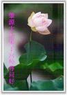 Published on 5/11/2004 ȫ󷨵ӹʦ𻪵߷ִ󷨺鴫ʮ
