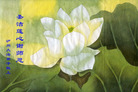 Published on 5/12/2007 ½ӹʦ𻪵ߵڰ˽編ִգ