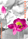 Published on 5/12/2007 ½ӹʦ𻪵ߵڰ˽編ִգ