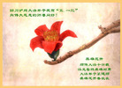 Published on 5/12/2008 ½󷨵ף編ִʦٳ
